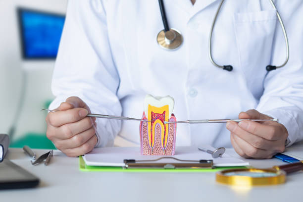 Best Emergency Treatment for Dental Infections or Abscesses in Moodus, CT